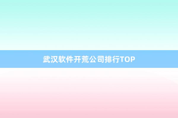 武汉软件开荒公司排行TOP
